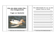 Mini-Buch-Lilly-Entengeschichte-Fragen.pdf